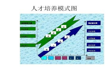 人才培养方案范文7篇