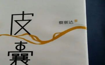 《皮囊》读后感模板6篇