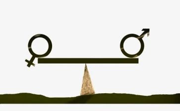 平衡板的教案最新6篇