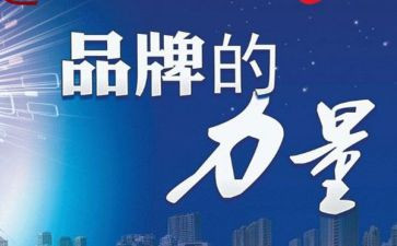 服装品牌的调研报告5篇
