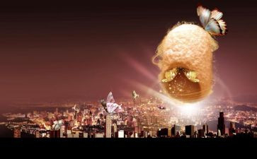 破茧成蝶,作文5篇