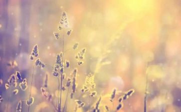 我牵挂…作文通用5篇