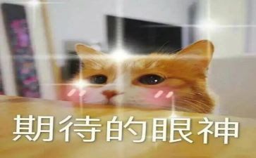 作文期待600字6篇