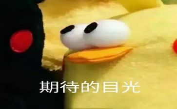 我期待作文5篇