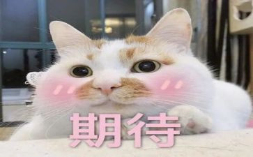 为期待的作文模板6篇
