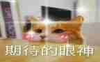 为期待的作文优秀7篇
