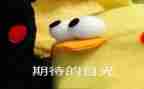 我期待作文5篇