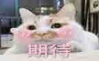 为期待的作文模板6篇