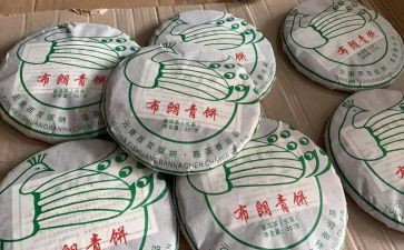 青饼的作文8篇