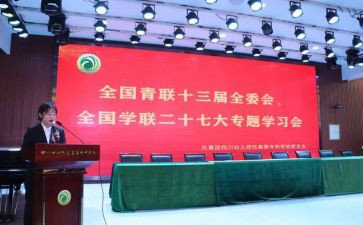 青联全委会心得6篇