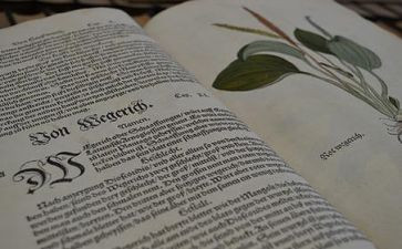 我最钦佩的人作文8篇