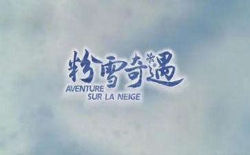 奇遇读后感参考5篇