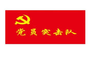 2024年旗帜观后感6篇