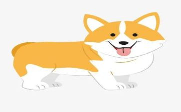 野犬女皇读后感300字6篇