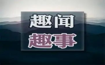假期趣事500字作文6篇