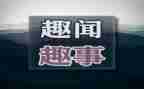 写暑假趣事的作文400字6篇