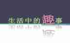 寒假趣事作文800字8篇