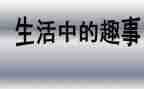 暑假里的趣事作文400字7篇
