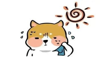 夏天是炎热的作文500字7篇