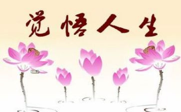 对人生感悟的作文7篇