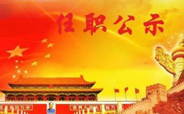 任职期工作总结5篇