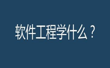 软件工程师转正工作总结5篇