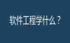 软件工程师转正工作总结5篇