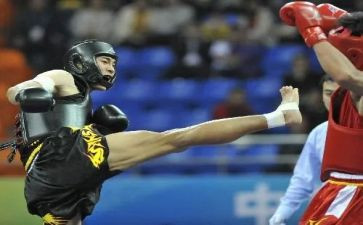 散打体会心得6篇