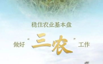 县三农工作计划7篇