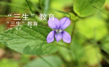 作文初三生活是首歌600字7篇