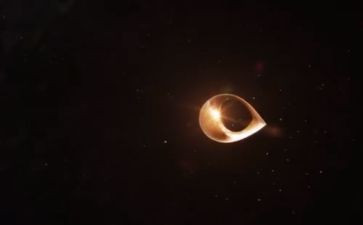 高三体育教学总结7篇