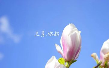 我在三月作文最新6篇