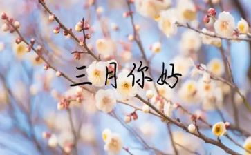 中班三月份工作计划8篇