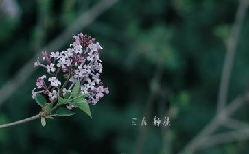 幼儿园大班三月工作总结7篇