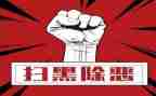 2024年扫黑除恶专项工作总结6篇