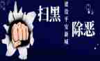 扫黑除恶专项行动工作总结5篇