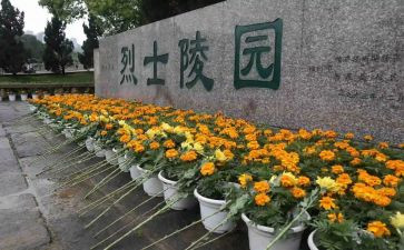 学校扫墓活动方案模板6篇