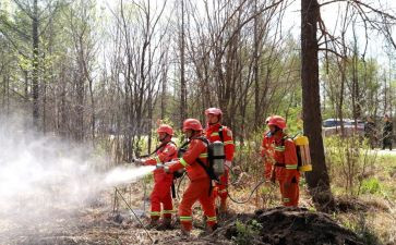 森防火工作报告8篇