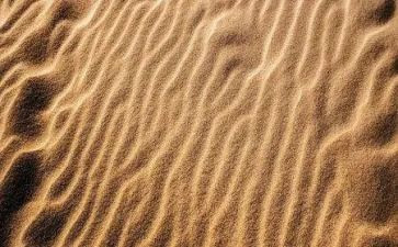 沙的科学教案参考5篇