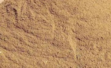 后沙的作文推荐8篇