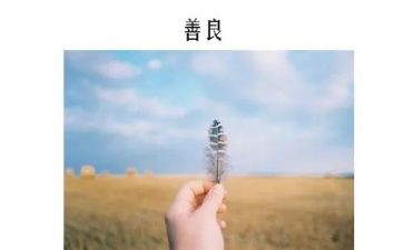 关于善待自然的作文8篇