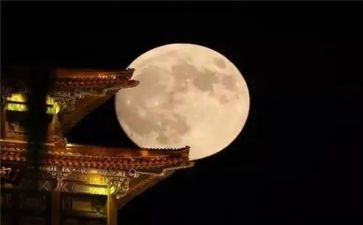 中秋赏月作文300字5篇