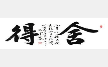 舍得作文800字8篇