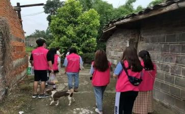 大学生社会情况调查报告6篇