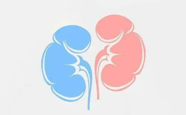肾内科副主任医师个人总结优秀6篇