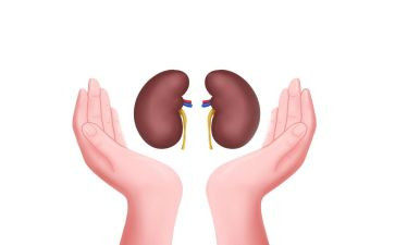 肾内科的自我鉴定总结6篇