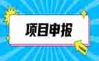 申报小学高级教师述职报告8篇