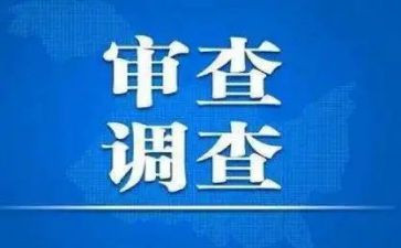 审查工作总结6篇