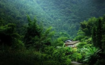 她留在我记忆深处作文最新7篇