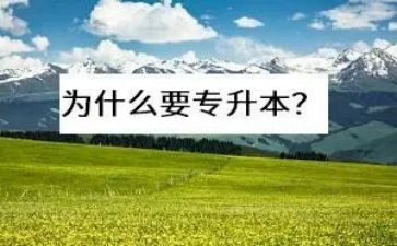 自我鉴定专升本范文6篇